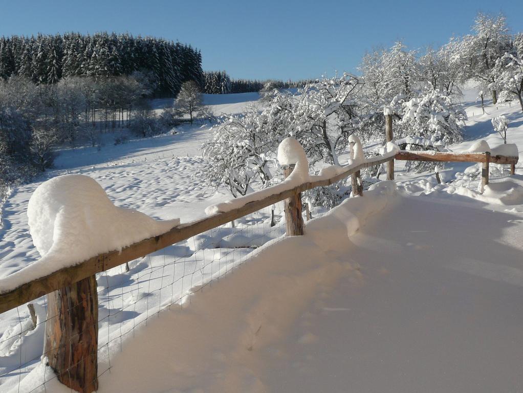 Bed and Breakfast Les Grandes Fontaines La Longine Екстер'єр фото